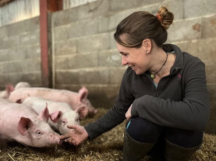 Ferme de la Limaye Neuvy Grandchamp 71 Saône-et-Loire Bourgogne Porcs